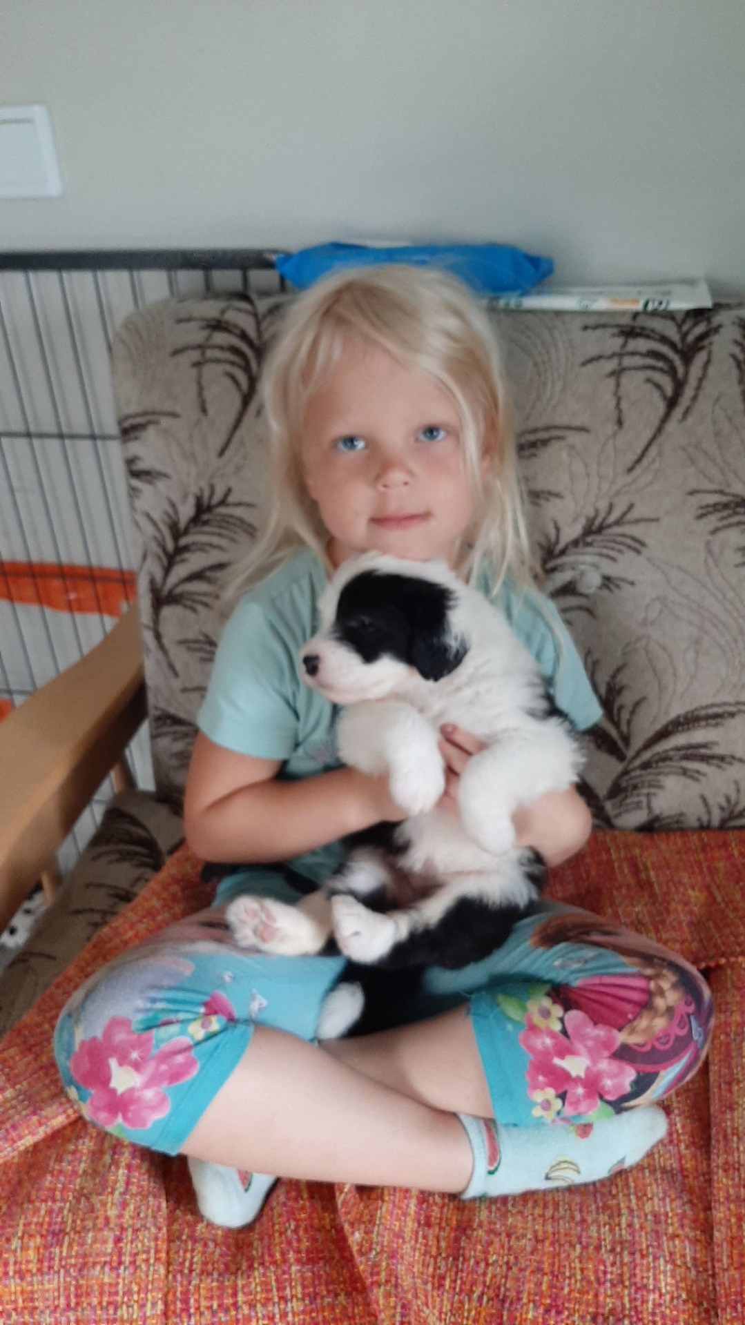 Emilia ja neliviikkoinen pentu
